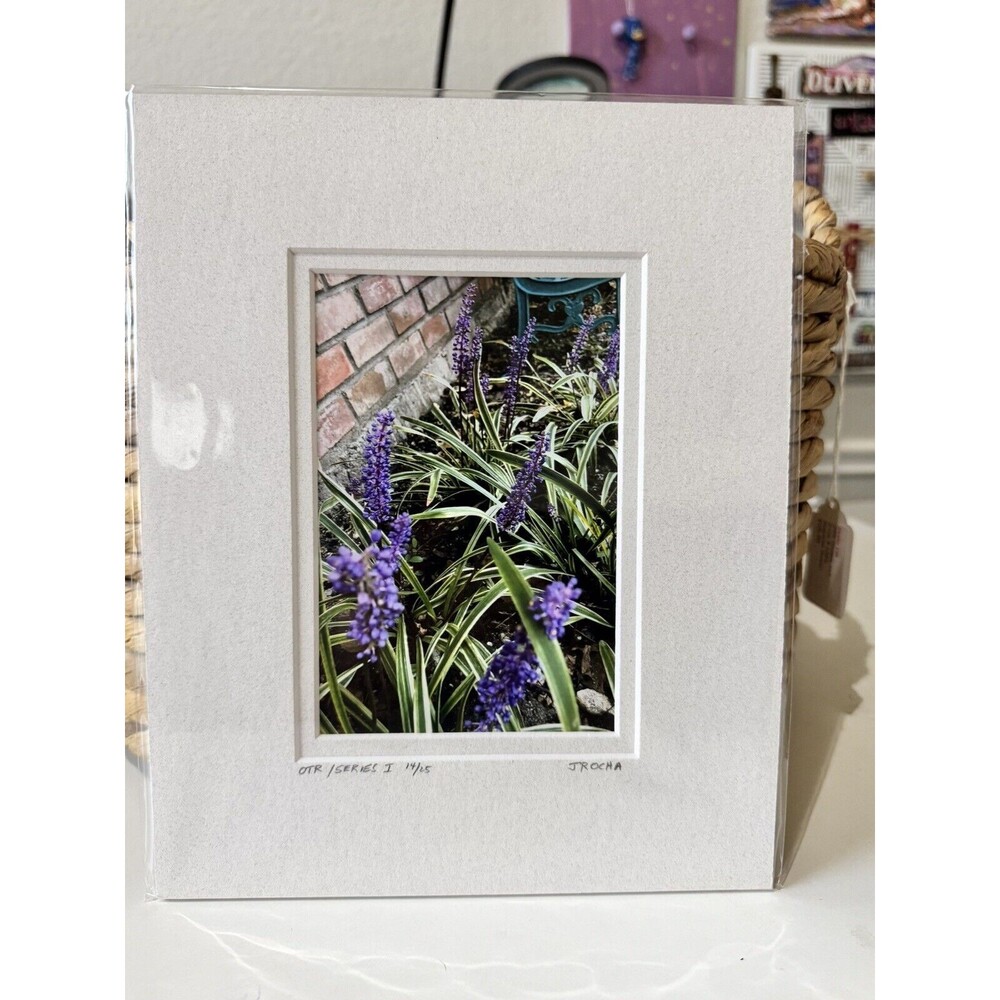 Original Photography 5X7 Picture Double Matted For 8X10 Frame